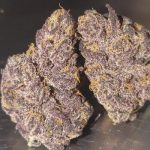 A2 32% THCa FLOWER - APPLE TART (SATIVA) - AAA Indoor