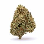 A2 - THCa Flower - WHITE TRUFFLE (INDICA) - 33% AAA Indoor Organic.