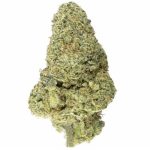 A2 33%THCa FLOWER - GLAZE DOUGHTNUT (INDICA) AAA Indoor Organic