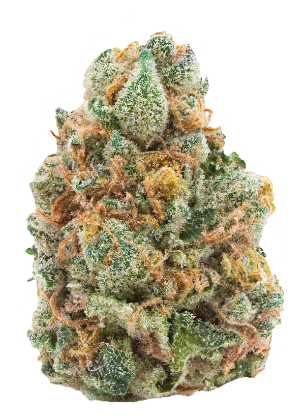 A2 - 29% THCa FLOWER - COCONUT MILK (INDICA) - AAA Indoor Organic