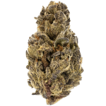 A2 - 28% - THCa FLOWER - BLACK CHERRY SODA (SATIVA) AAA - Indoor Organic