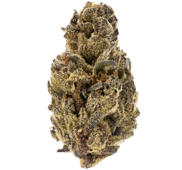 A2 - 28% - THCa FLOWER - BLACK CHERRY SODA (SATIVA) AAA - Indoor Organic