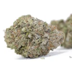A1 Garlic-M (Indica) 46%